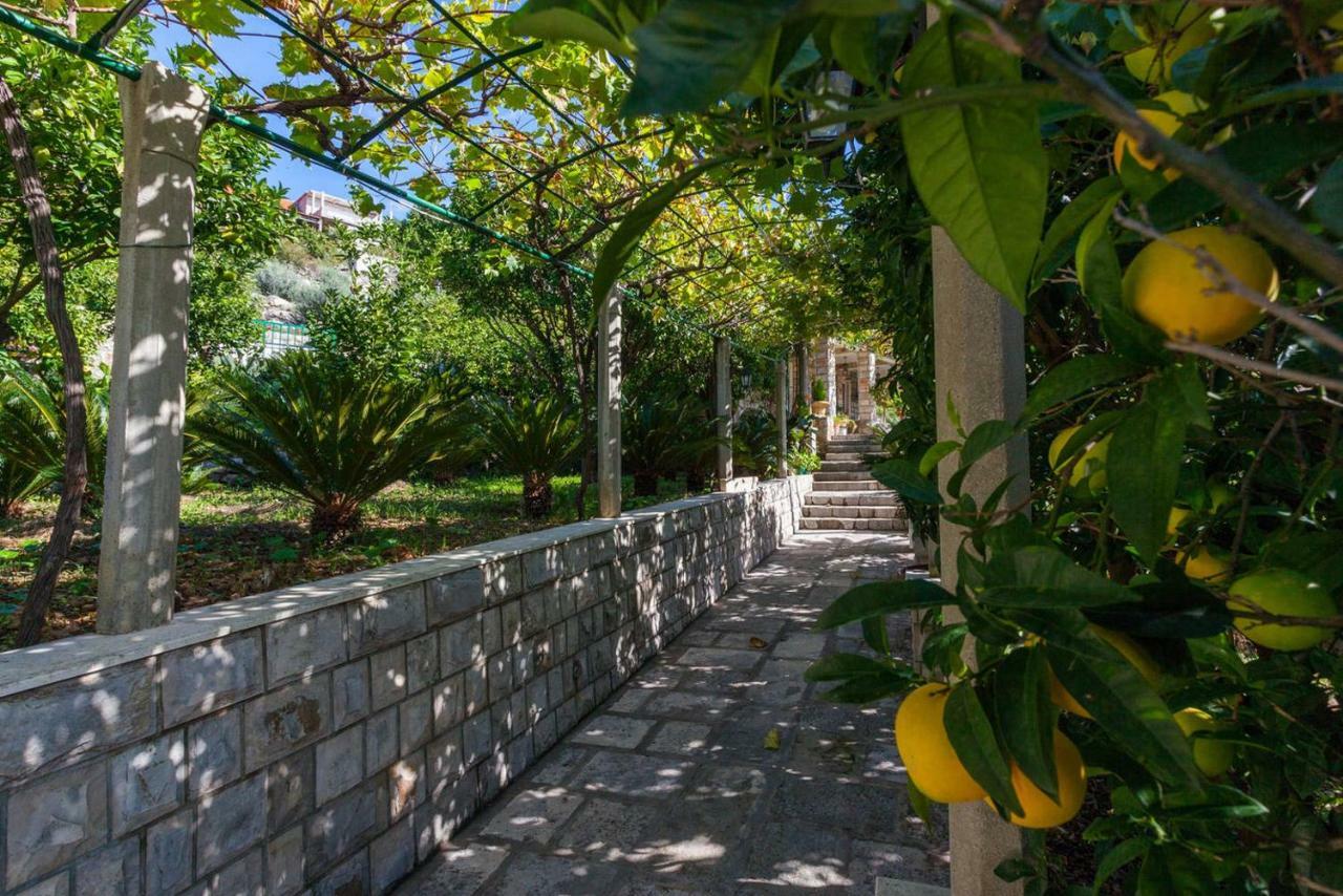Apartment Beti Lopud Exterior foto