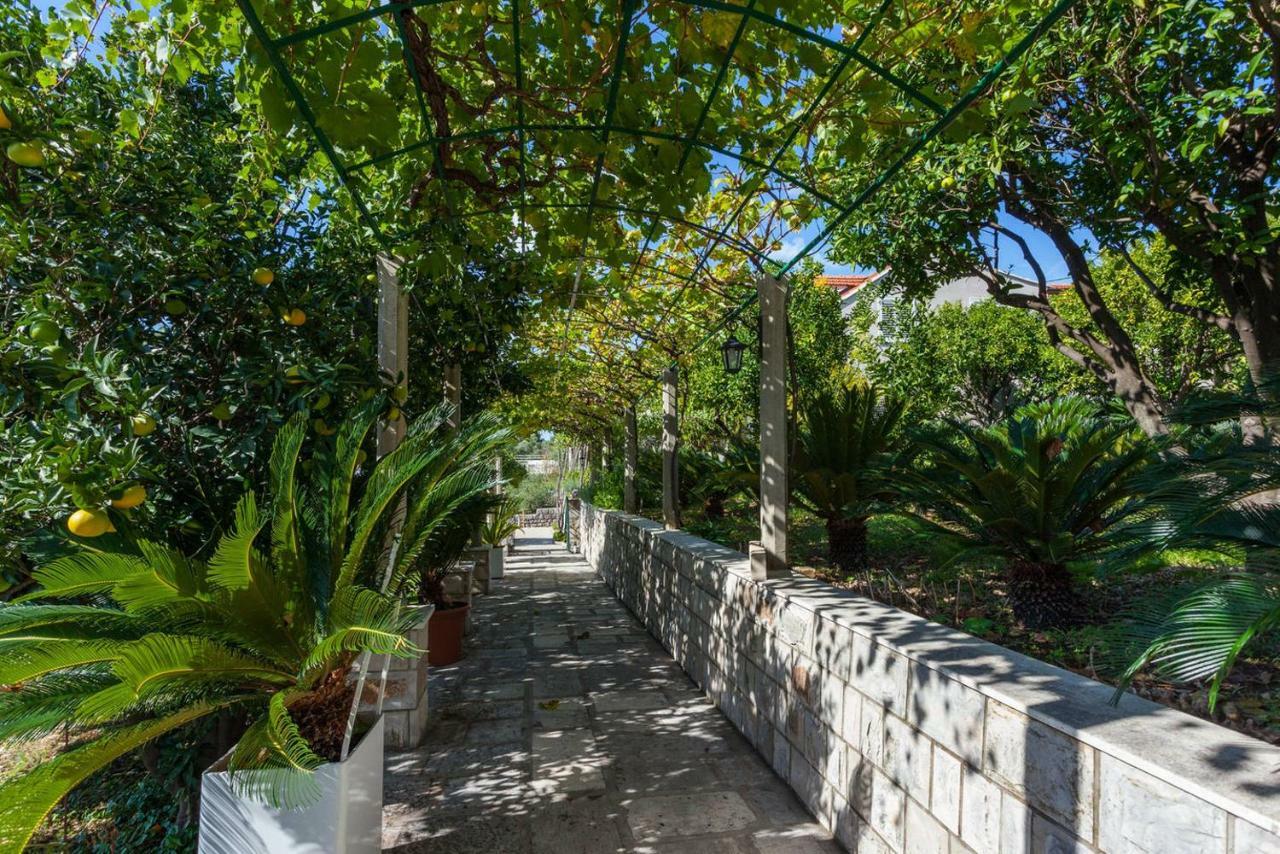 Apartment Beti Lopud Exterior foto